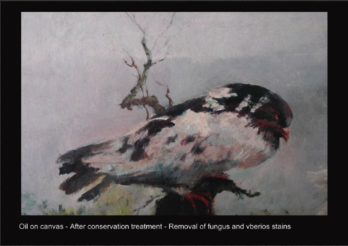 Oil on canvas - After conservation  - Removal of fungus and vberios stains